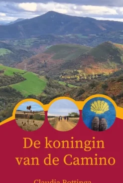 De Koningin van de Camino eBook