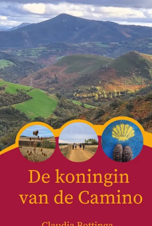 De Koningin van de Camino eBook