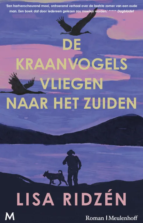 De kraanvogels vliegen naar het zuiden eBook