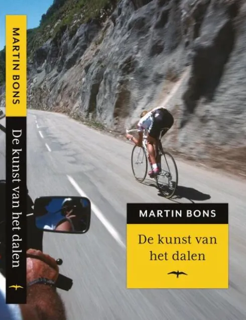 De kunst van het dalen eBook