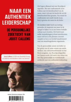De kwetsbare leider eBook