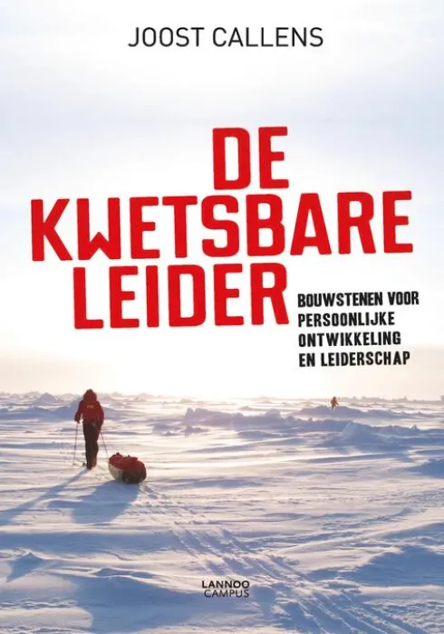 De kwetsbare leider eBook