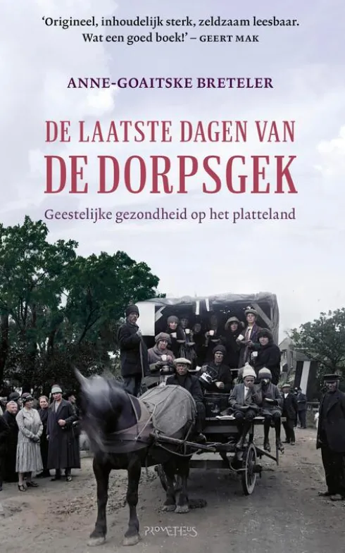 De laatste dagen van de dorpsgek eBook