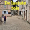 De laatste reis eBook
