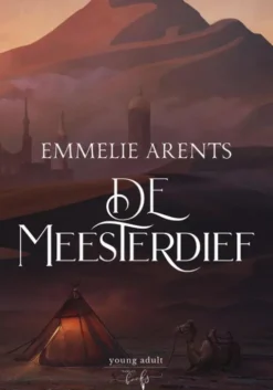 De Meesterdief eBook