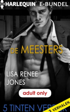 De meesters eBook