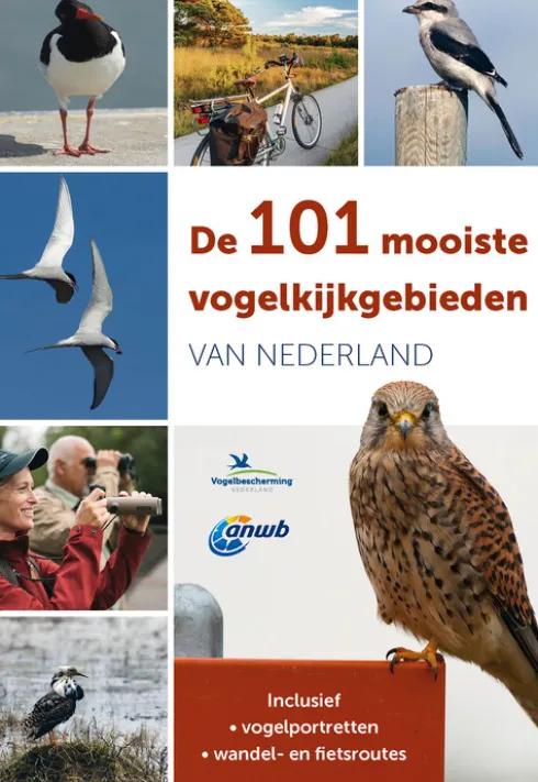 De 101 mooiste vogelkijkgebieden van Nederland eBook