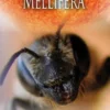 De mythe van Mellifera eBook