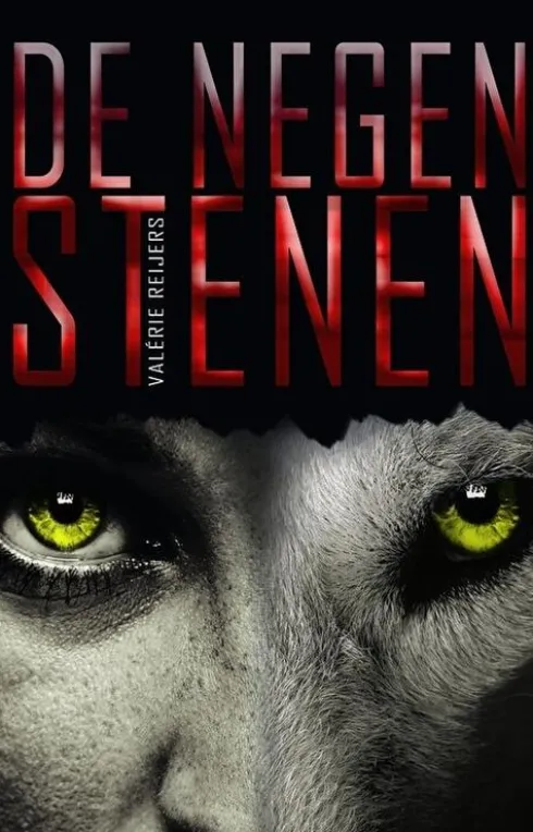 De negen stenen eBook