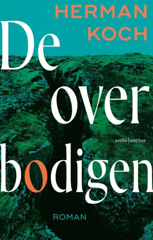De overbodigen eBook