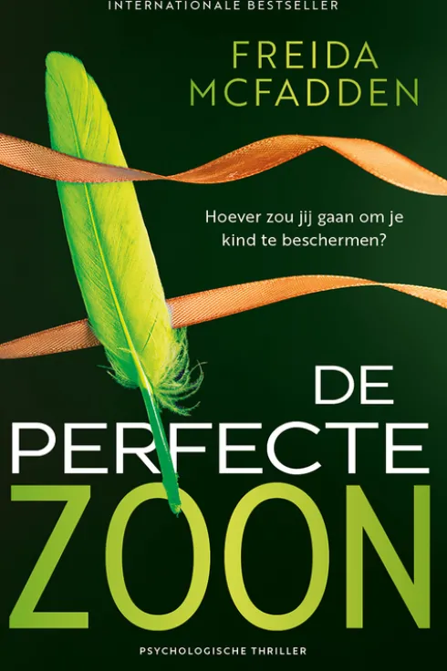 De perfecte zoon eBook