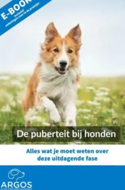 De puberteit bij honden eBook