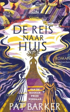 De reis naar huis eBook