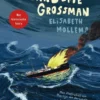 De reis van Sofie Grossman eBook