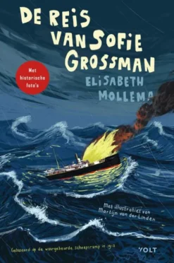 De reis van Sofie Grossman eBook
