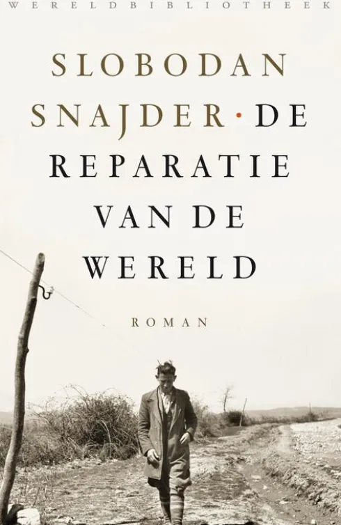 De reparatie van de wereld eBook