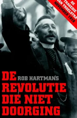 De revolutie die niet doorging eBook