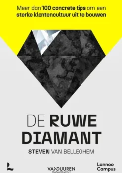 De ruwe diamant eBook
