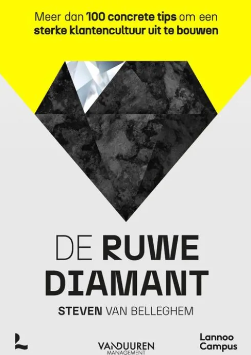 De ruwe diamant eBook