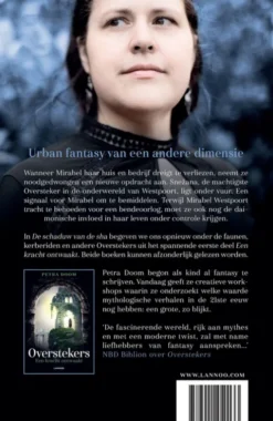 De schaduw van de Sha eBook
