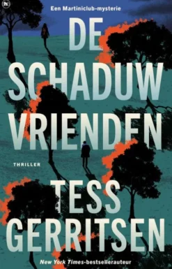 De schaduwvrienden eBook