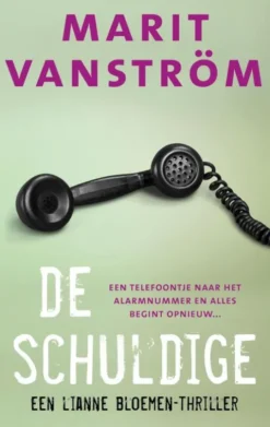 De schuldige eBook
