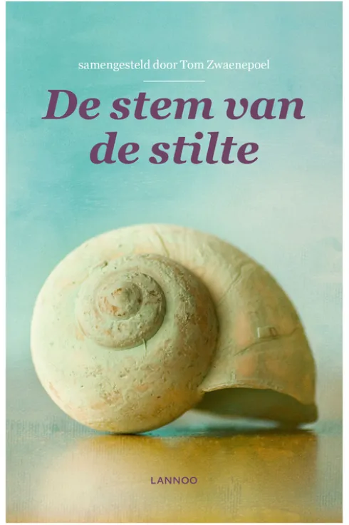 De stem van de stilte eBook
