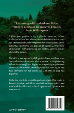 De stilte voor de storm eBook