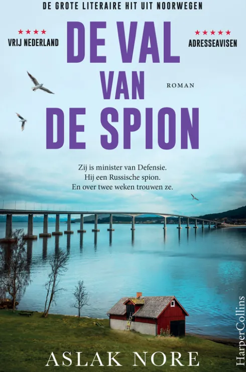 De val van de spion eBook