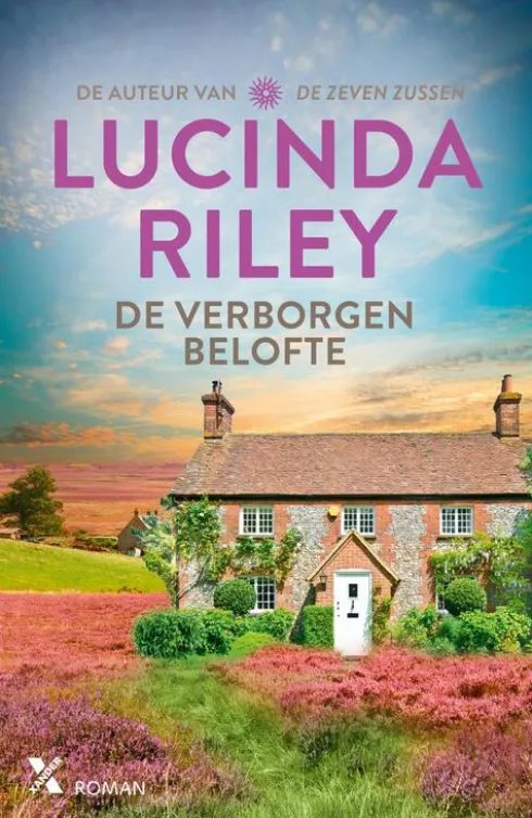 De verborgen belofte eBook