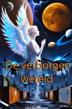 De verborgen wereld eBook