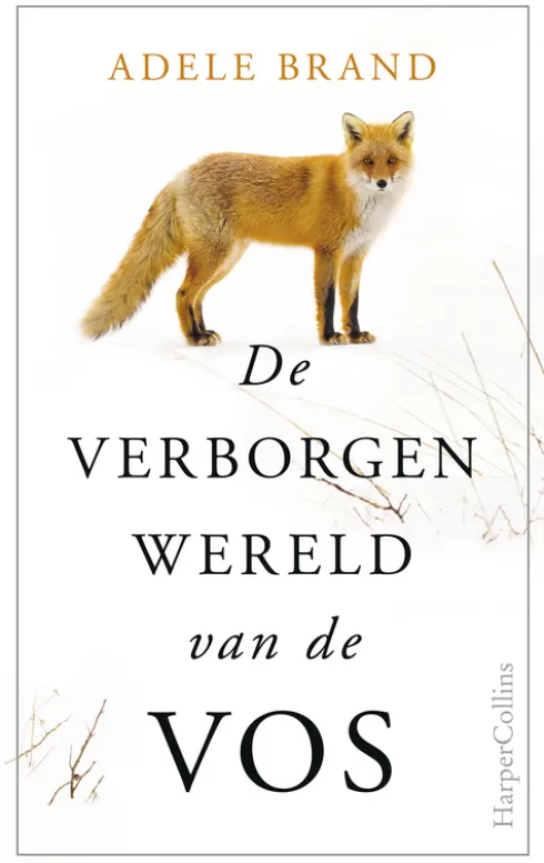 De verborgen wereld van de vos eBook