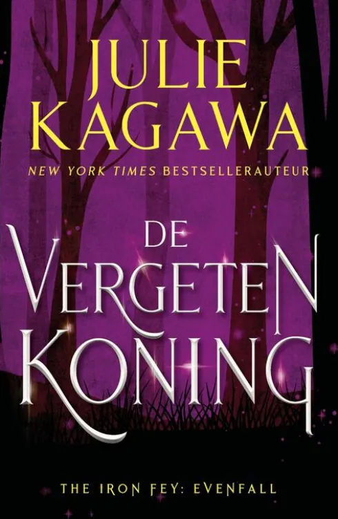 De vergeten koning eBook