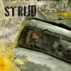 De vergeten strijd eBook