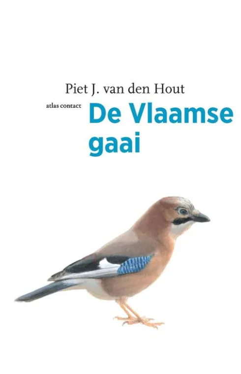 De Vlaamse gaai eBook