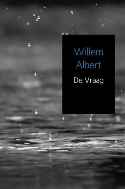 De vraag eBook