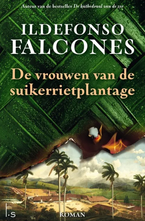 De vrouwen van de suikerrietplantage eBook
