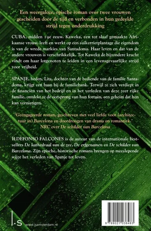 De vrouwen van de suikerrietplantage eBook