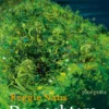 De wachters van de heuvel eBook