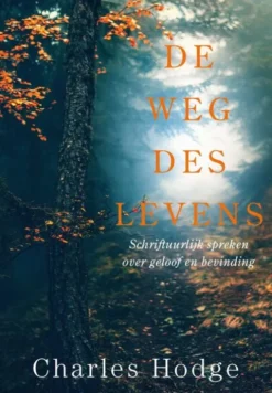 De weg des levens eBook
