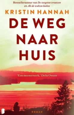 De weg naar huis eBook
