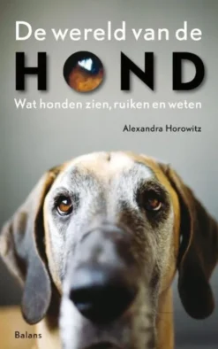 De wereld van de hond eBook