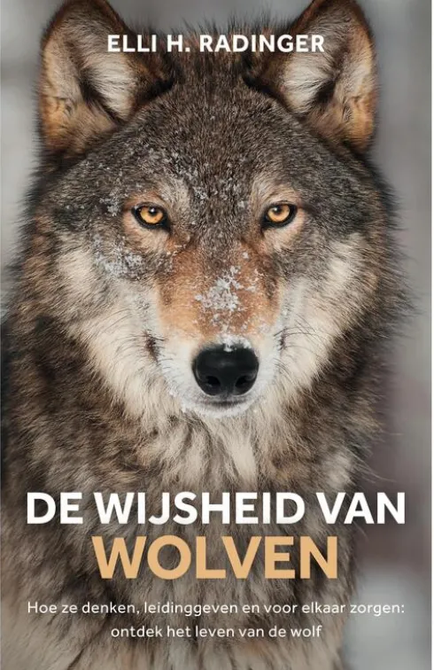 De wijsheid van wolven eBook