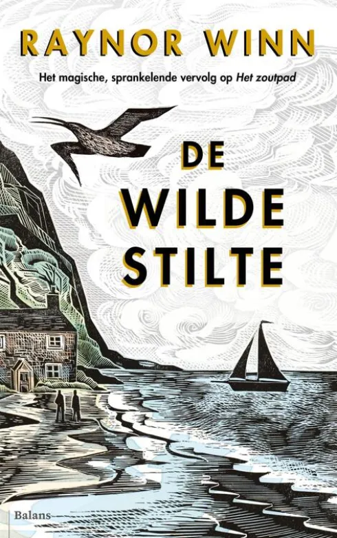De wilde stilte eBook