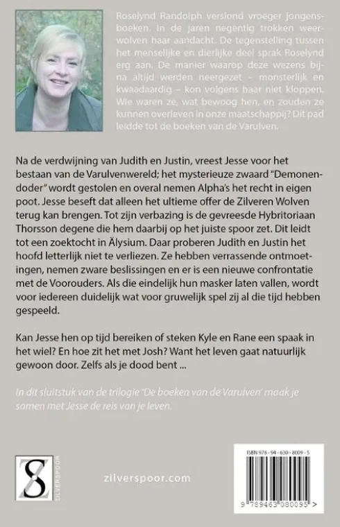 De zilveren raaf eBook