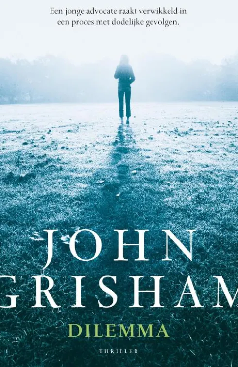 Dilemma eBook
