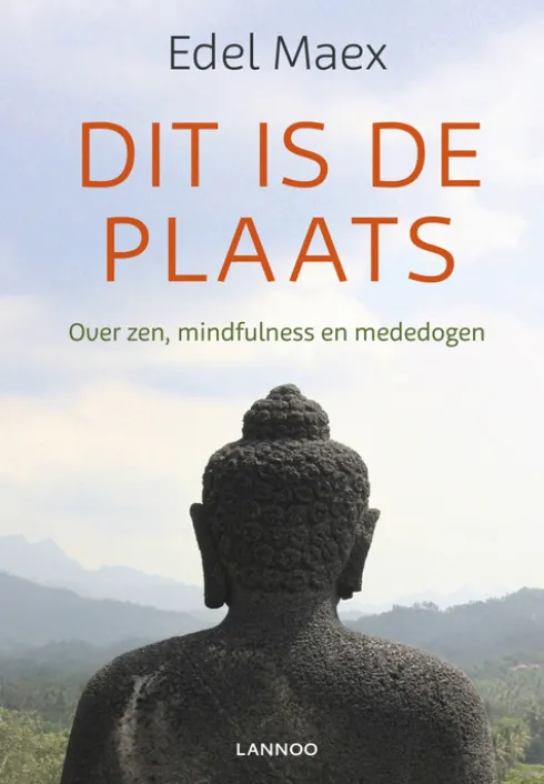 Dit is de plaats eBook