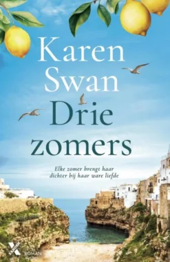 Drie zomers eBook