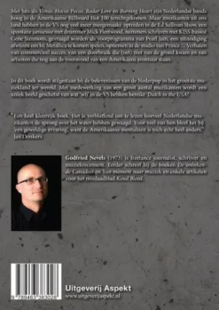 Dutch in the USA eBook