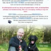 Easy Peasy Labrador eBook